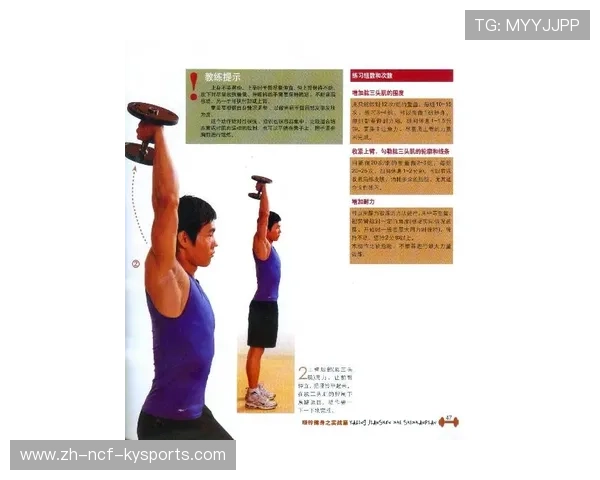 家用全套哑铃健身器材推荐及体育锻炼指南