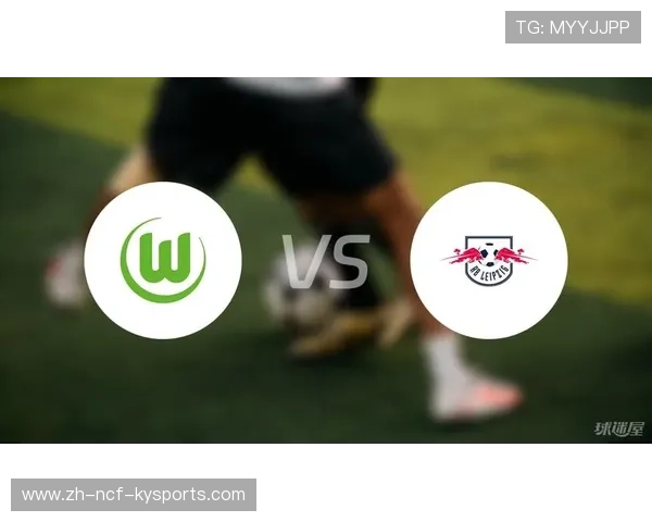 德甲球队科普视频回放合集:新球迷入门指南 德甲球队科普视频回放合集:新球迷入门指南